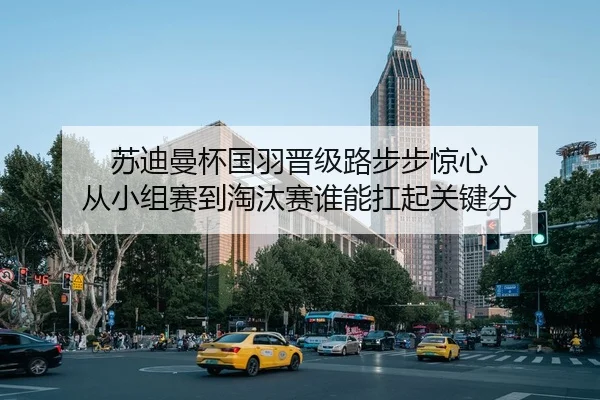 img_1780378456231_884_0_963.jpg（boyaqipai）